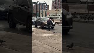 It’s our turn to cross the parking lotbirds newyorktravel shorts youtubeshorts travel cross [upl. by Enelyad672]