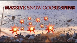 BEST SNOW GOOSE RAINOUTS of SPRING 2024 Conservation Season [upl. by Sivaj757]