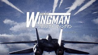 Project Wingman Anime Intro Easter Egg [upl. by Anestassia52]