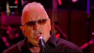 Eric Burdon  Dont Let Me Be Misunderstood Live 2007 ♫♥ [upl. by Enilrek133]