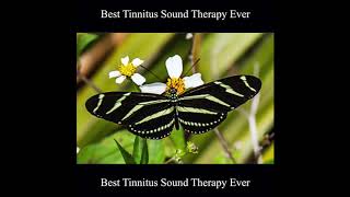 Best Tinnitus Sound Therapy Ever 10 Hours [upl. by Enovahs]