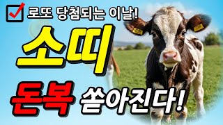 소띠 주목 2024년 9월 소띠 운명이 바뀝니다 소띠를 위한 충격적인 운세 2024년 대박나는 소띠운세 49년생 61년생 73년생 85년생 97년생 소띠 운세 재물복 재물운 [upl. by Anivas]