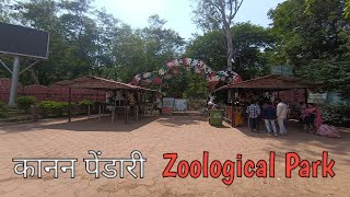 कानन पेंडारी झुलाॅजीकल पार्क 🐯  Kanan Pendari Zoology Park 🐯  RS Aaba Vlog [upl. by Suez]