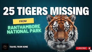 25 Tigers Missing from Ranthambore Tiger Reserve  Travel From Home  2024 [upl. by Eniron]