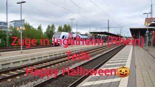 Züge in Ingelheim Rhein Teil6 HappyHalloween deutschebahn trainspotting zugverkehr [upl. by Haram]