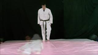 32  Zempo kaiten ukemi  Nippon kempo 日本拳法 Ниппон кэмпо [upl. by Dardani543]