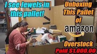 Unboxing a pallet of Amazon overstock and we found Jewels Pet items Gnomes and more [upl. by Modie]