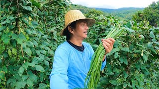 Pasyal tayo sa farm ni bayaw milo harvest narin tayo ng sitaw na uulamin [upl. by Adrienne]