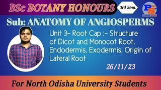 Root Cap Structure of Dicot and Monocot Root Endodermis Exodermis Origin of Lateral Root [upl. by Hteik]