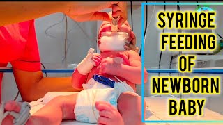 Syringe Feeding Newborn Baby  Syringe Feeding Procedure  Syringe Feeding Kaise karte hain  NICU [upl. by Gaskill646]