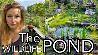 The Wildlife Pond  Plot 37 [upl. by Lower]