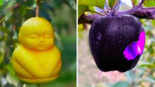 20 Most Unique Fruits You Didn’t Know Exist [upl. by Ettezoj]