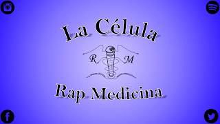 La Célula  Preview  Rap Medicina  R4 😮😲😱🔥🔥🔥 [upl. by Melton]