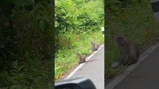 Koh Lanta On the Main Road Thailand [upl. by Eniamirt]