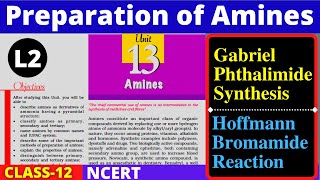 L2 Preparation of Amines  Class 12  Gabriel Phthalimide Synthesis  Hoffmann Bromamide Reaction [upl. by Atnom]