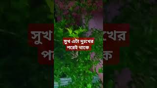 অনেক বেদনা ভরা আমার এই জীবন 🎶 music song  Bangla Song bangladesh sadsong sadstatus foryou [upl. by Laveen552]