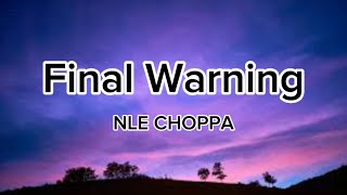 NLE CHOPPA  Final Warning lyrics [upl. by Alliuqa]