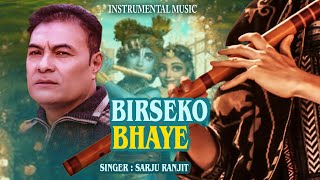 Birseko Bhaye Instrumental By Sarju  Ram Bahadur Bhujel New 20232080 [upl. by Rydder]