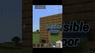 Invisible door hack in Minecraft 🍷🗿 shorts viralshorts trendingshorts [upl. by Frayne]