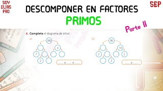 Descomponer en Factores Primos  Segunda Parte [upl. by Lodovico]