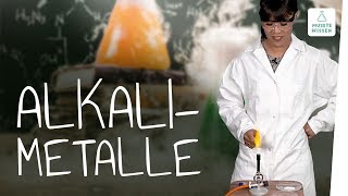 Alkalimetalle I Hauptgruppe Periodensystem I musstewissen Chemie [upl. by Kerrin]