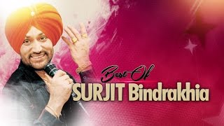 BEST OF SURJIT BINDRAKHIA  PUNJABI SONGS JUKEBOX  TSERIES APNA PUNJAB [upl. by Agate]