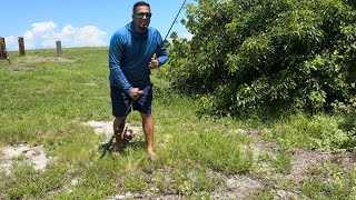 🇹🇹🇬🇾DAVE CATCHING IGUANA IN KEYWEST  CATCHING AMERICAN FISH TO SELL IN GUYANA 🤣 fun fishing [upl. by Caniff]