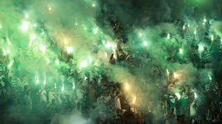 AS MELHORES MÚSICAS DA TORCIDA DO PALMEIRAS [upl. by Notyalc]