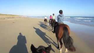 Trail Ride at Rundells [upl. by Nadnal260]