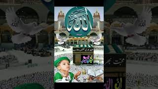 Sarkar tashrif lane lage har taraf nor chaa gia 🌹 muhammadﷺ allah viralvideo [upl. by Nedla828]