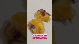 Guess the Biopsy Specimen Answer in comments essenceworld cyst [upl. by Iohk]