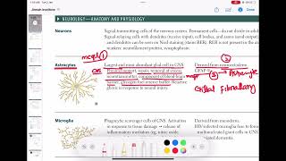 Astrocytes neurology 14  First Aid USMLE Step 1 in UrduHindi [upl. by Akemat]