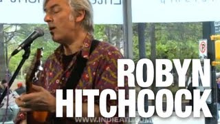 Robyn Hitchcock amp the Venus 3 quotTrainsquot  indieATL session [upl. by Airottiv]