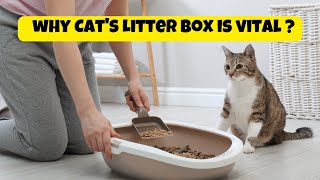 Keep Your Cats Litter Box Clean For Their Health And Yours  Why Cats Litter Box is Vital [upl. by Atsillac]