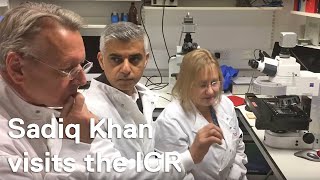 The Mayor of London Sadiq Khan visits the ICR and The Royal Marsden [upl. by Eijneb]