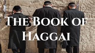 The Book of Haggai NLT [upl. by Ylrebmi]