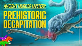 Marine Reptile Tanystropheus Was Swiftly Decapitated 250 Million Years Ago – Ancient Murder Mystery [upl. by Winterbottom]