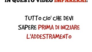 COSE CHE DEVI SAPERE PRIMA DI INIZIARE LADDESTRAMENTO DEL CANE 3°video [upl. by Rednaxela]