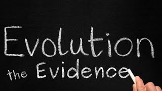 Evolution The Evidence  Complete Documentary [upl. by Bravar]