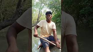 There was a snake in this treeforyou nature new shortvideo travel snake sundarban [upl. by Jordan962]