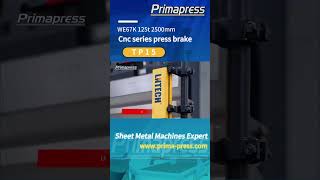 Sheet metal Torsion bar NC Hydraulic press brake bending machine TP15 [upl. by Niu286]