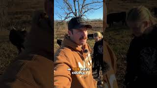 Grazing Strategies Allowing Freedom for Livestock homestead farmliving [upl. by Adle799]