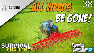 THIS SHOULD SETTLE THE WEEDS  New Lands  Survival  Farming Simulator 22  EP 38 [upl. by Agnew]