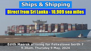 Direct from Sri Lanka  10909 Sea Miles Edith Maersk Arrives at Felixstowe 9 May 2024 [upl. by Ban]