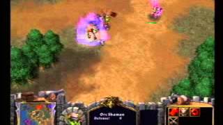 Warcraft 3 Gameplay 2000 [upl. by Roinuj]