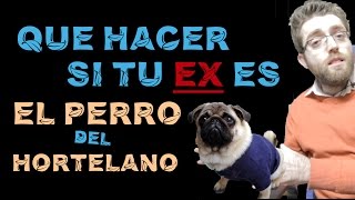 Qué hacer si tu ex es el perro del hortelano [upl. by Frederica672]