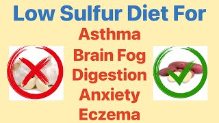 Low Sulfur Diet for Asthma Brain Fog Digestion Anxiety Eczema and SIBO [upl. by Irol]