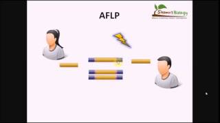 أساسيات الهندسة الوراثية تكنيك الـ AFLP [upl. by Jakob]