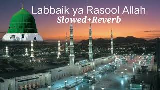 Labbaik ya Rasool Allah Slowed Reverb best naat lofi [upl. by Neetsirhc]