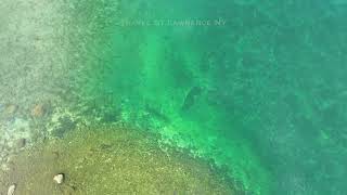 The Hole or the Cove of Galop Island on the St Lawrence River NY [upl. by Geffner]